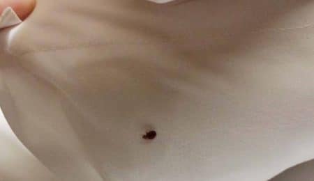 Ce qui attire les punaises dans votre lit