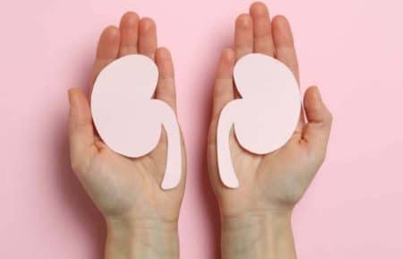 Insuffisance rénale : les causes récurrentes et moyens de prévention