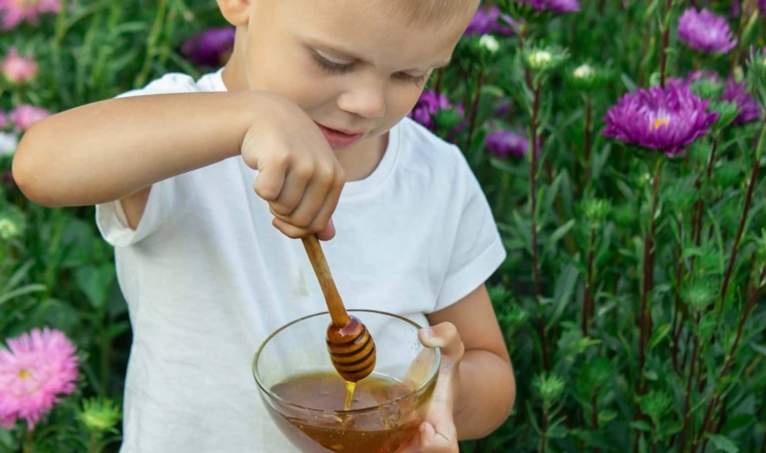 Les bienfaits du miel pour les enfants