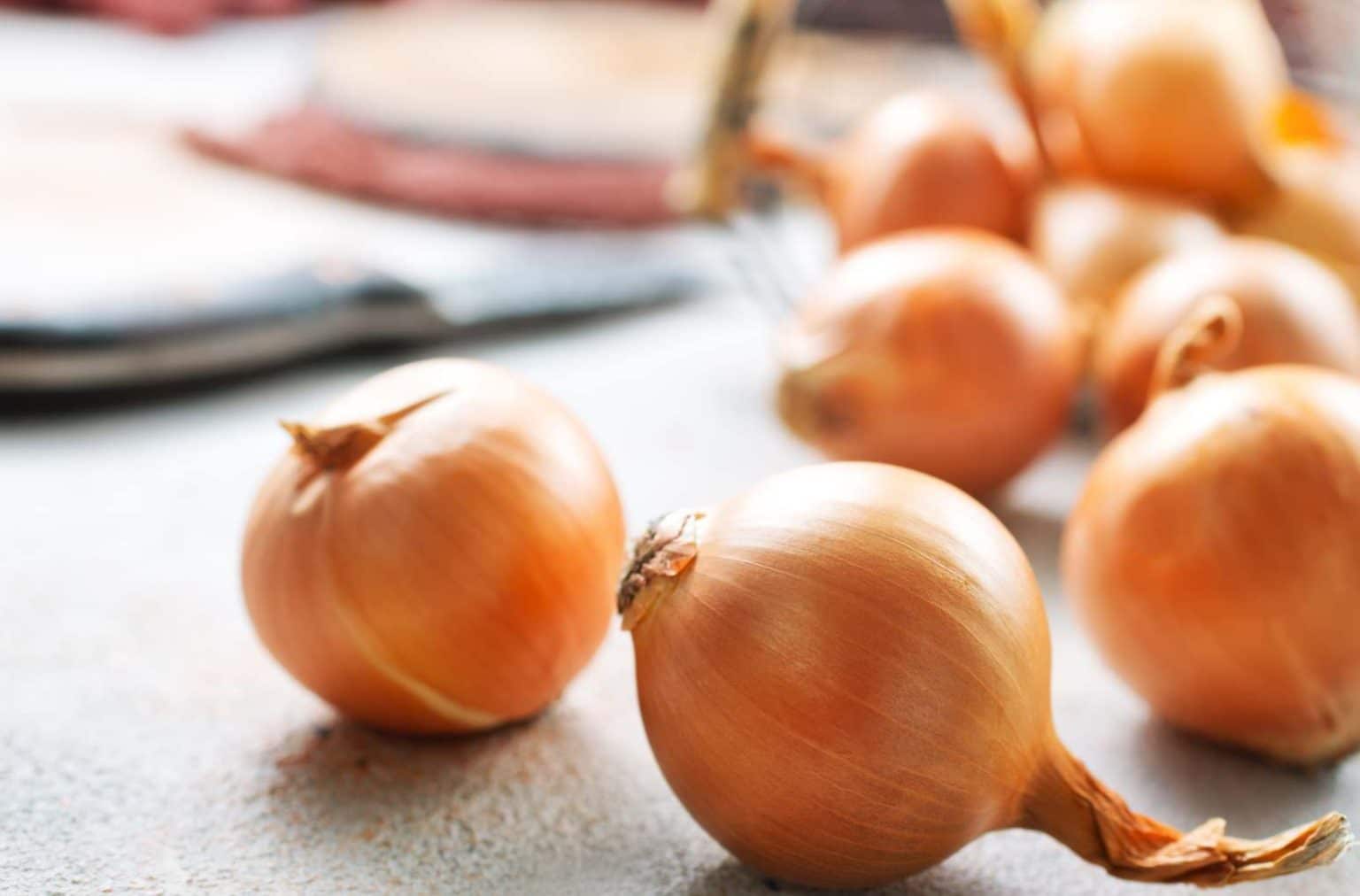 Les vertus de l’oignon cru