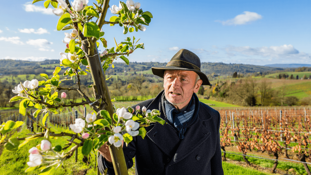 Printemps précoce : est-ce mauvais pour les végétaux ?