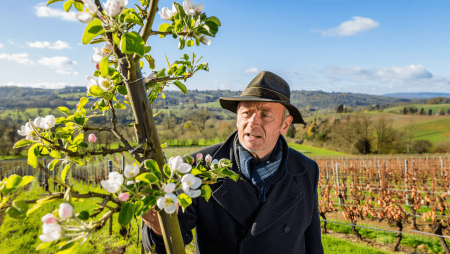 Printemps précoce : est-ce mauvais pour les végétaux ?