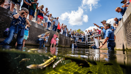 Aux Pays-Bas, les humains se mouillent pour aider les poissons