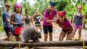 Porc-épic tombé du plafond, épreuves façon "Koh-Lanta" et gastro fulgurante: comment le séminaire d'entreprise de Plex a viré au chaos... pourtant fédérateur