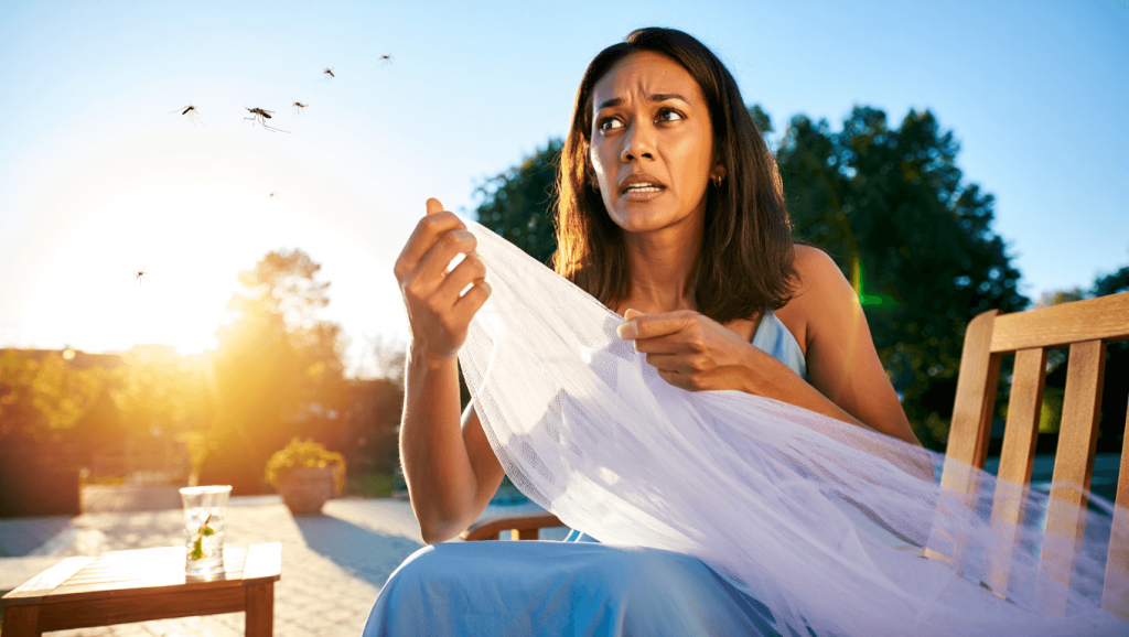 Moustiquaires: la protection la plus efficace contre les insectes cet été Solution contre les insectes : la moustiquaire est le top