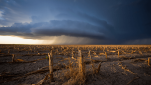 El Niño se renforce : ce qu'il faut savoir sur ce phénomène climatique