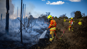 Var: l'incendie reste contenu, nouvelle journée à risque