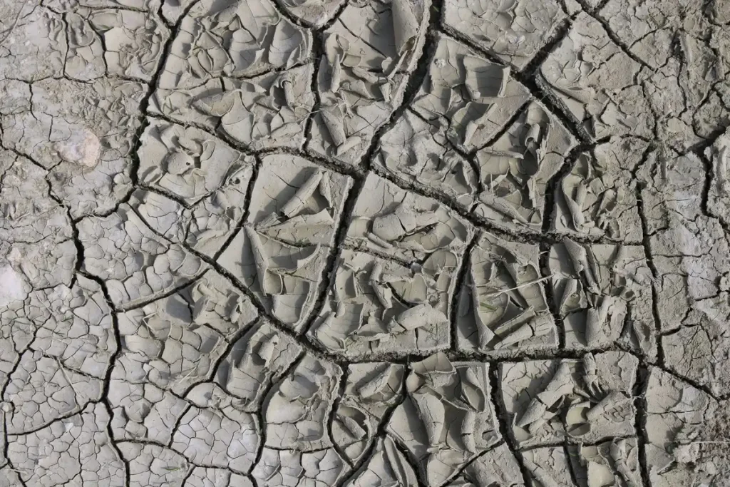 Sol desséché et craquelé avec végétation clairsemée sous un soleil brûlant