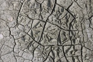 Sol desséché et craquelé avec végétation clairsemée sous un soleil brûlant