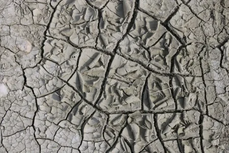 Sol desséché et craquelé avec végétation clairsemée sous un soleil brûlant
