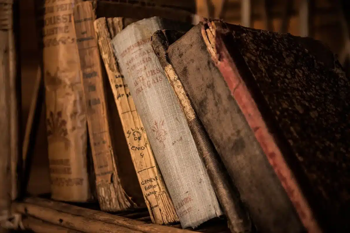 Bibliothèque frontale montrant les couvertures des livres face au lecteur