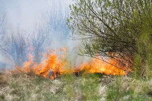 Incendie de forêt ravageant un paysage montagneux avec fumée épaisse et flammes