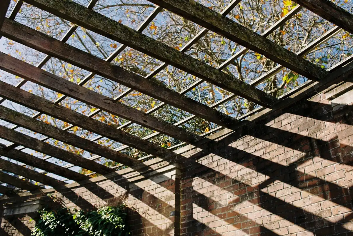 Comparaison entre une pergola adossée fixée au mur et une structure autoportée sur poteaux