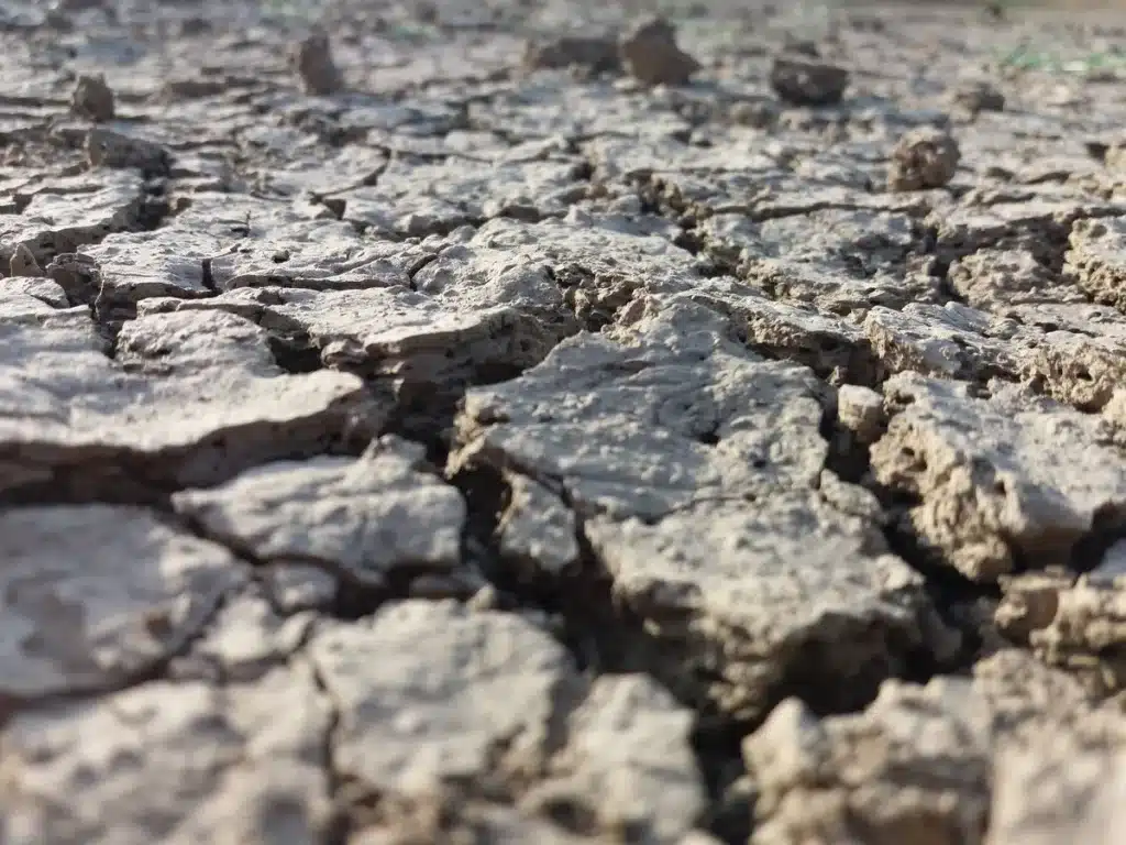 Sécheresse: coût estimé plus élevé qu’en 2022, mise en garde de Monique Barbut Terre desséchée et craquelée dans un champ aride sous le soleil intense