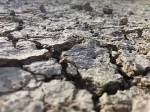 Terre desséchée et craquelée dans un champ aride sous le soleil intense