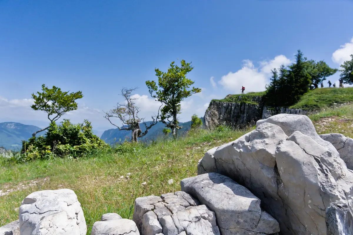 Parcours montagneux du Jura avec peloton de cyclistes affrontant les ascensions