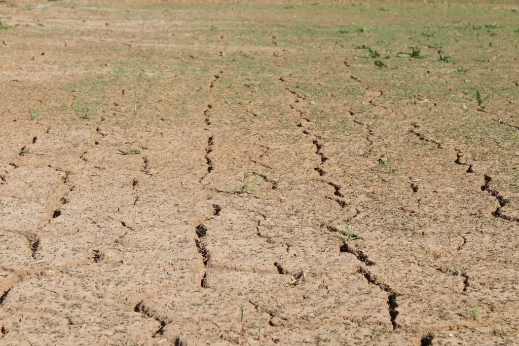 Mains de fermier tenant une pousse et de la terre sèche pendant une sécheresse agricole