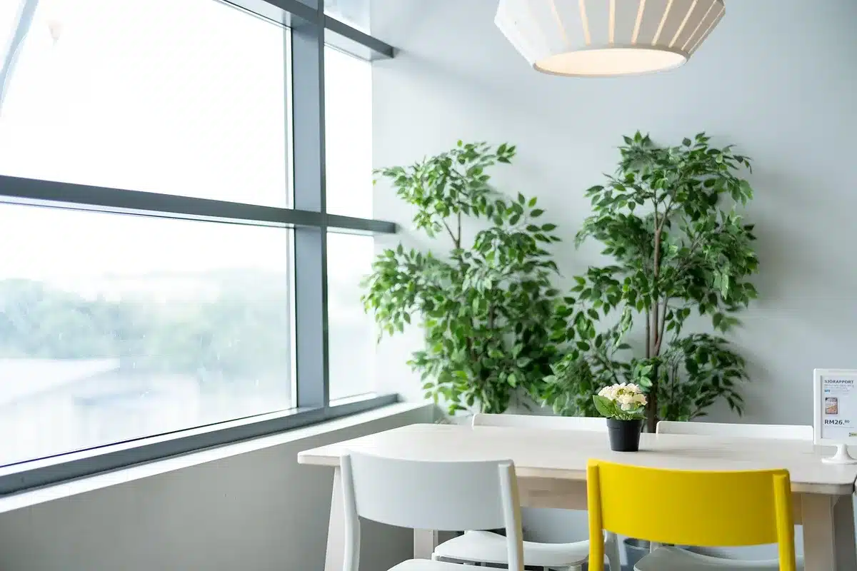 Salon avec tapis et lampe apportant une nouvelle ambiance