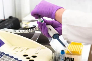 Chercheur étudiant des données climatiques et des fossiles pour modéliser l'adaptation des espèces