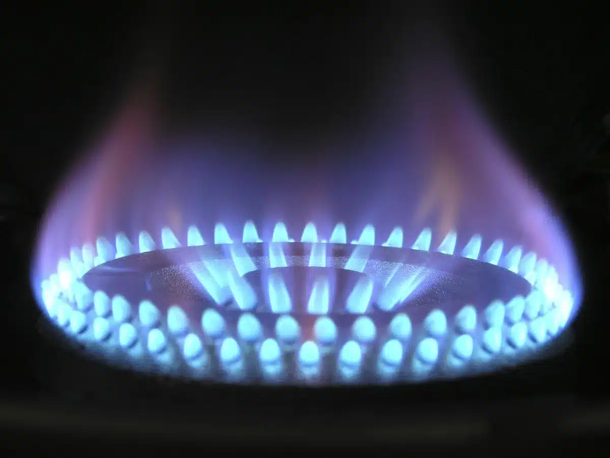 Étiquette énergétique et comparaison d'appareils ménagers en magasin
