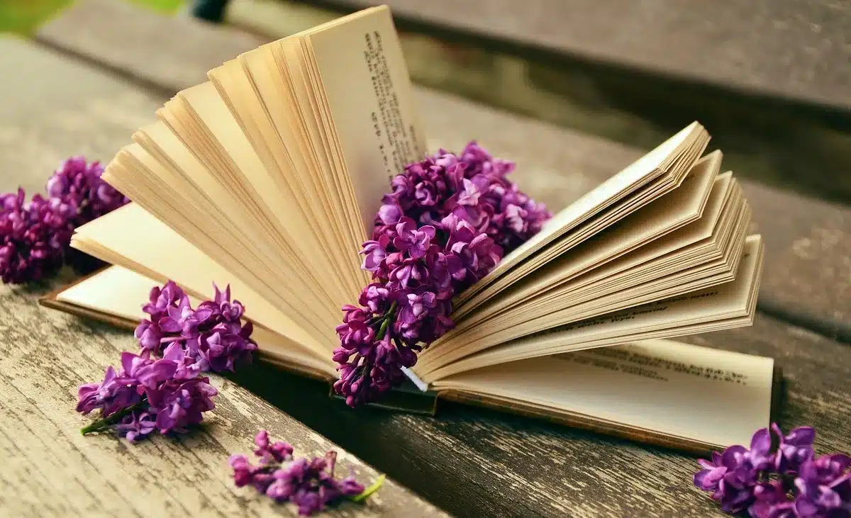 Bénévoles entourés de piles de livres lors d'une collecte en journée