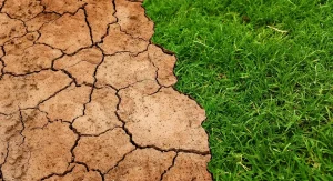 Paysage aride et désertifié sous un ciel brumeux, symbolisant l'anxiété face au dérèglement climatique