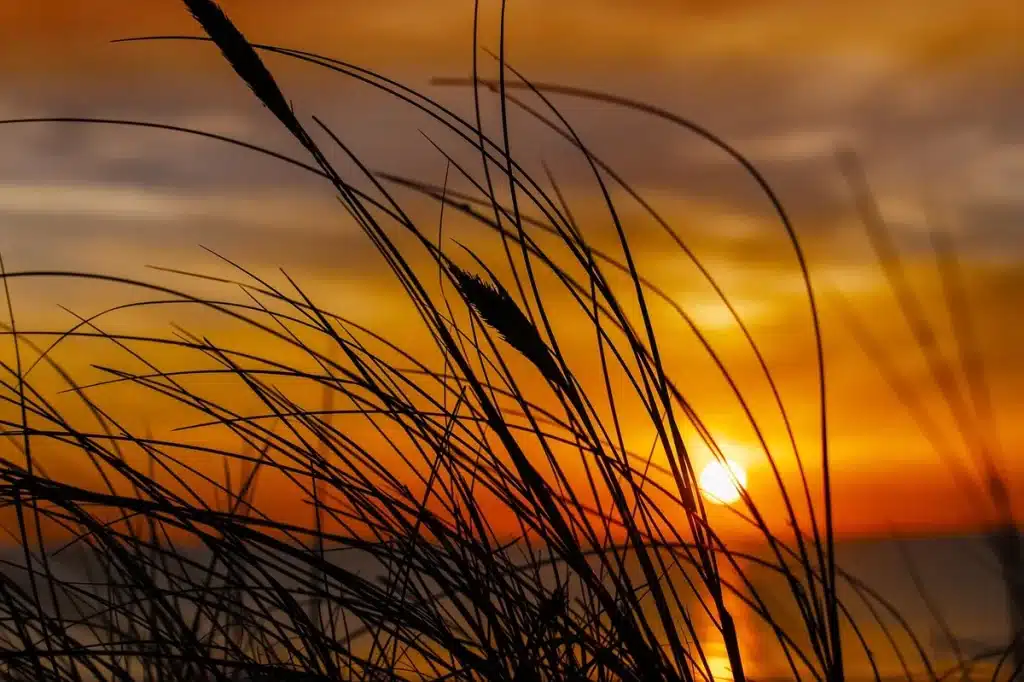 Pirogues anonymes et silhouettes de rameurs au coucher du soleil, ambiance mélancolique
