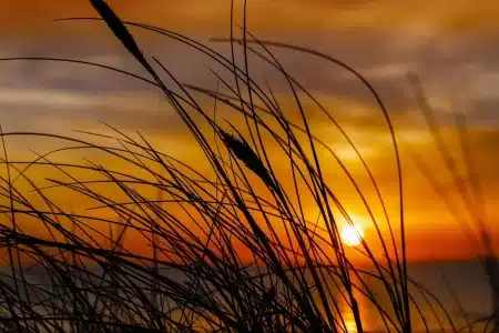 Pirogues anonymes et silhouettes de rameurs au coucher du soleil, ambiance mélancolique