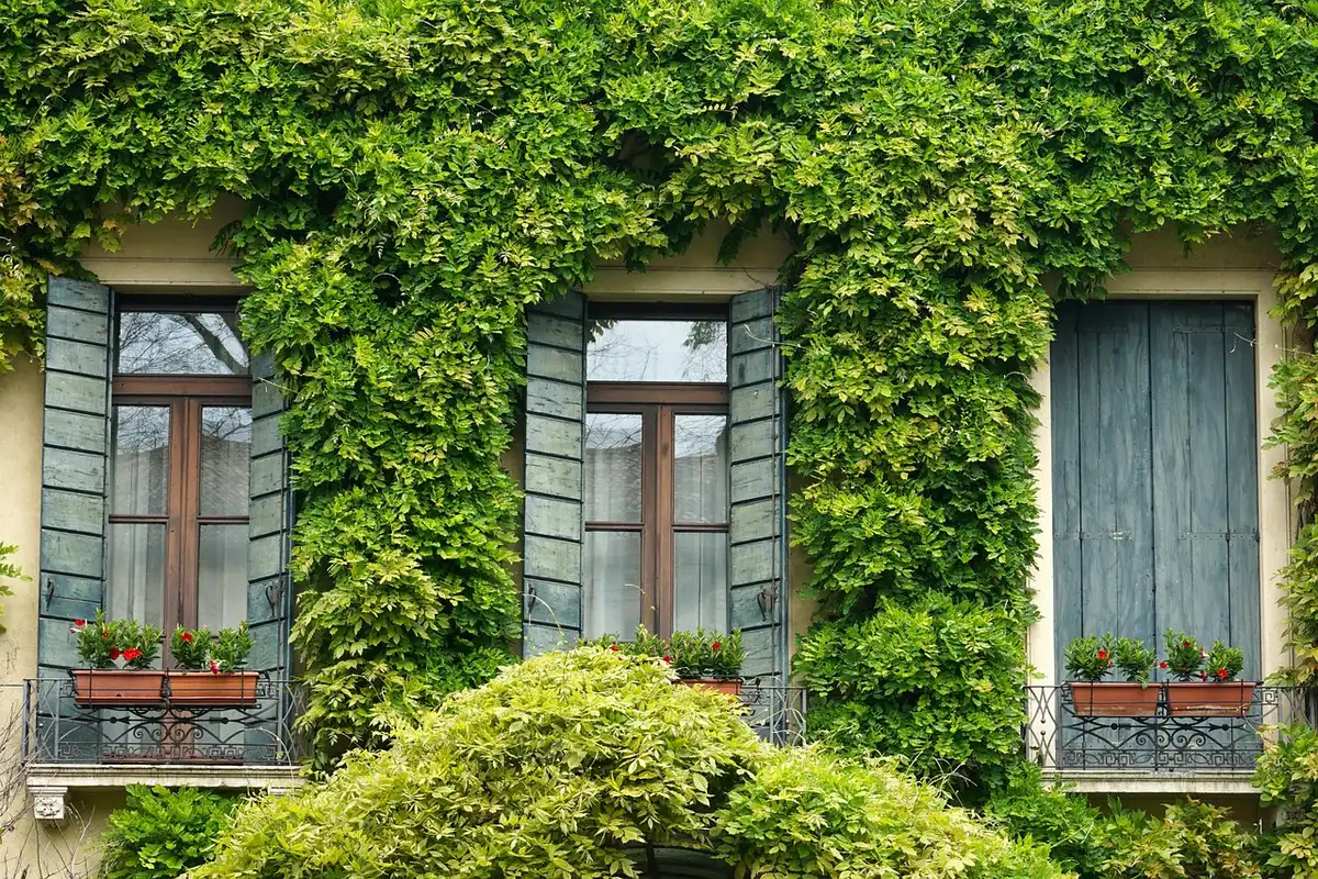 Personne fermant des volets pour protéger une pièce de la chaleur