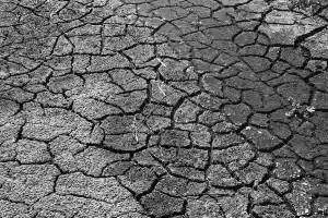 Sécheresse: jeunes agriculteurs appellent à des mesures immédiates pour sauver les récoltes Champ agricole asséché avec sol craquelé, canal d'irrigation vide et tracteur au loin