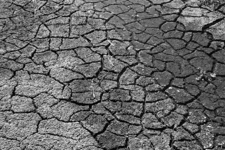 Champ agricole asséché avec sol craquelé, canal d'irrigation vide et tracteur au loin