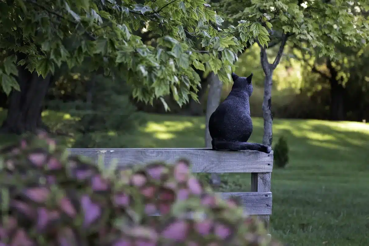 Allée du parc avec arbres centenaires et massifs floraux