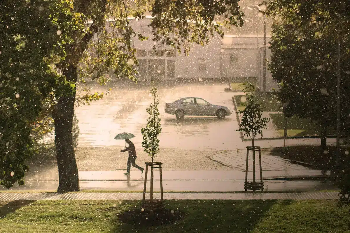 Carport protégeant une voiture contre la pluie et le soleil