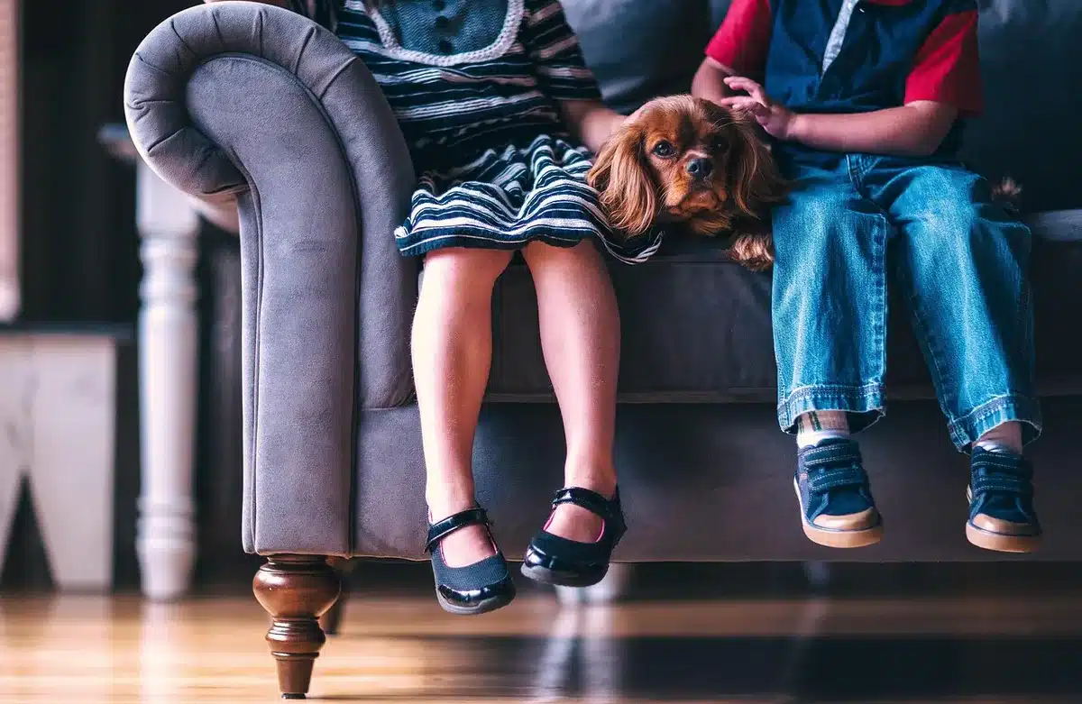 Photo encadrée posée sur une commode, évoquant une fille adolescente