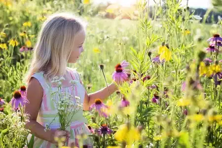 Cuisine extérieure sur patio en plein jour avec plan de travail, plantes et pergola