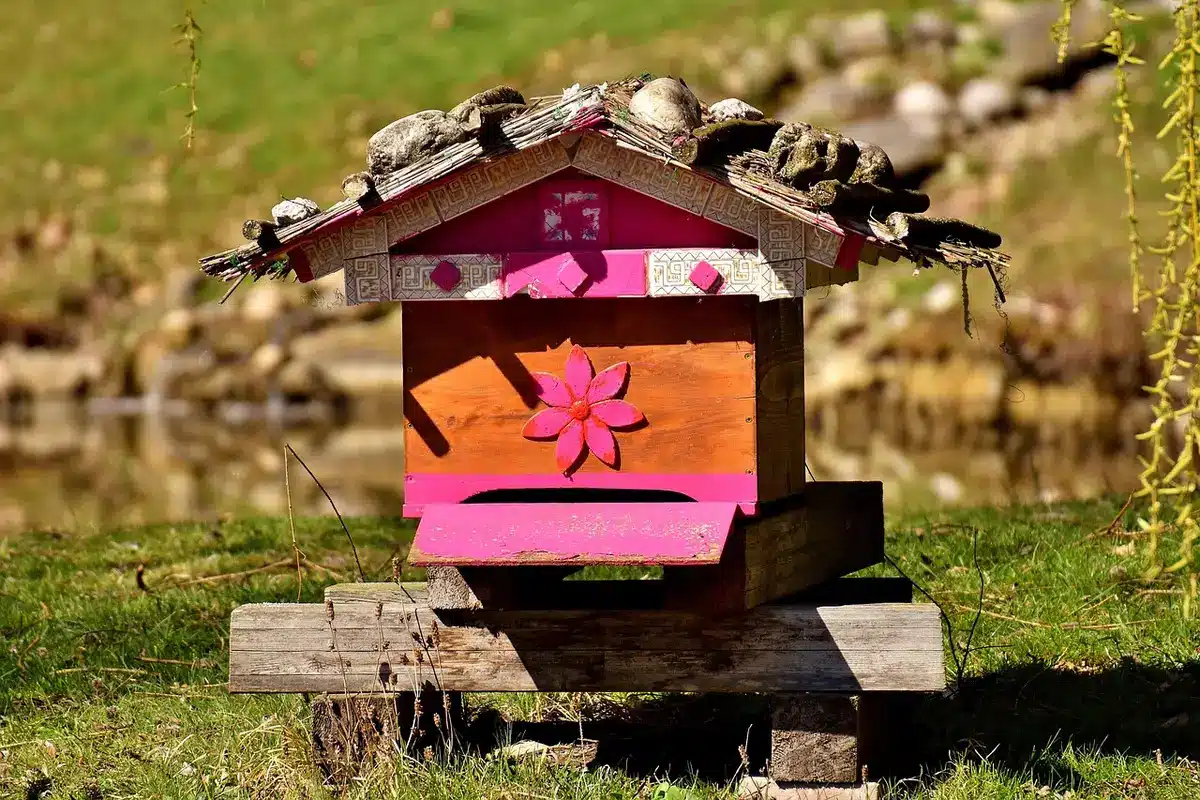 Enfants observant un rucher pédagogique proche d'un jardin mellifère