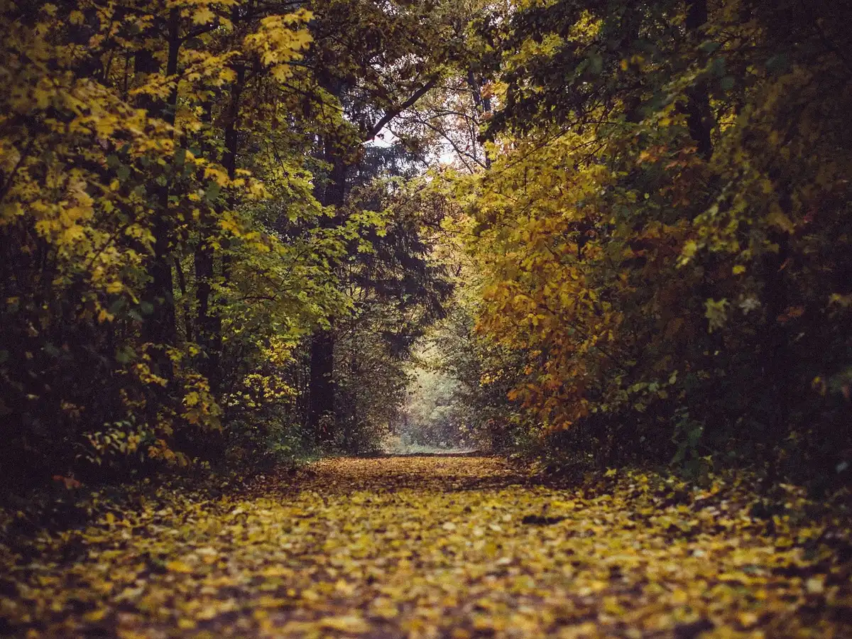Panneaux pédagogiques le long d'un chemin de parc, visiteurs observant les enclos