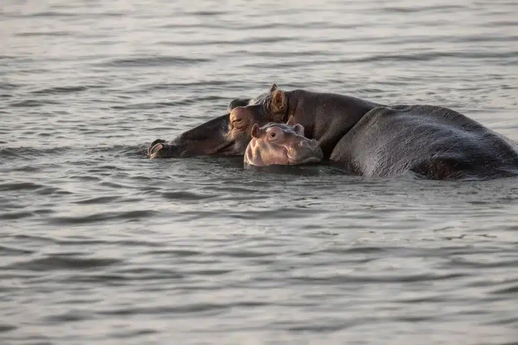 Famille et raft au bord d'une rivière en plein jour, matériel posé sur une table