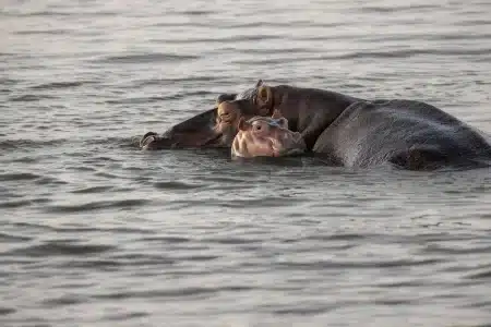 Famille et raft au bord d'une rivière en plein jour, matériel posé sur une table