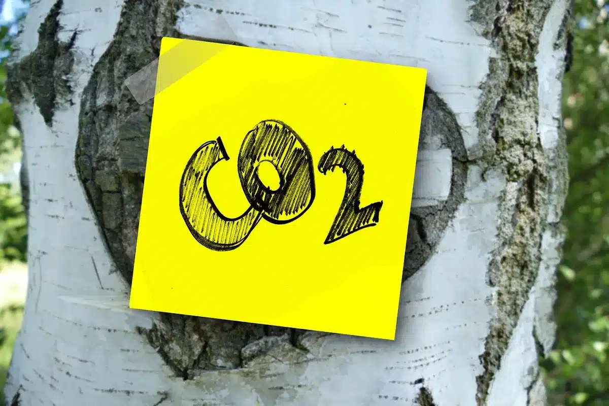 Infographie montrant la persistance du CO₂ dans l'atmosphère